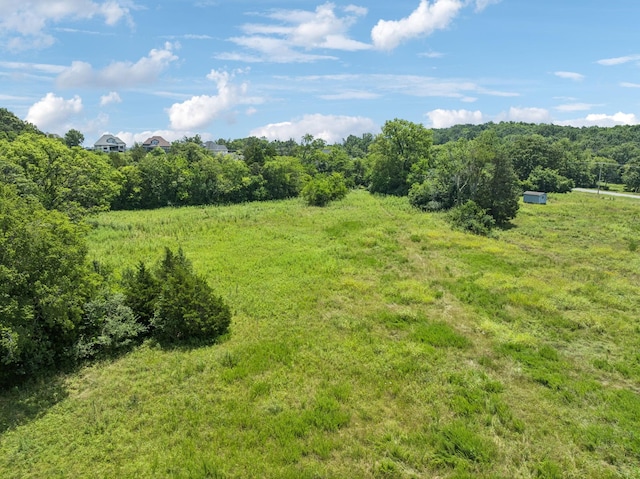 1177 Waller Rd, Brentwood, TN 37027 - photo 19