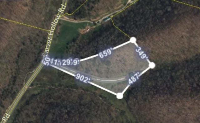 140 Carver Hollow Rd, Pleasant Shade, TN 37145 - map / location