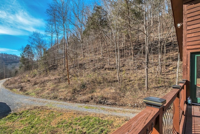 140 Carver Hollow Rd, Pleasant Shade, TN 37145 - view of dirt / gravel road