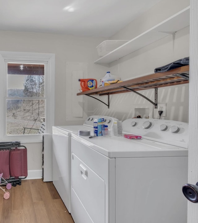 140 Carver Hollow Rd, Pleasant Shade, TN 37145 - laundry area featuring washer and dryer, electric panel, and light wood-style floors