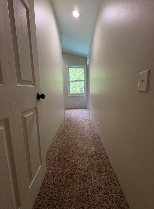 140 Carver Hollow Rd, Pleasant Shade, TN 37145 - photo 37