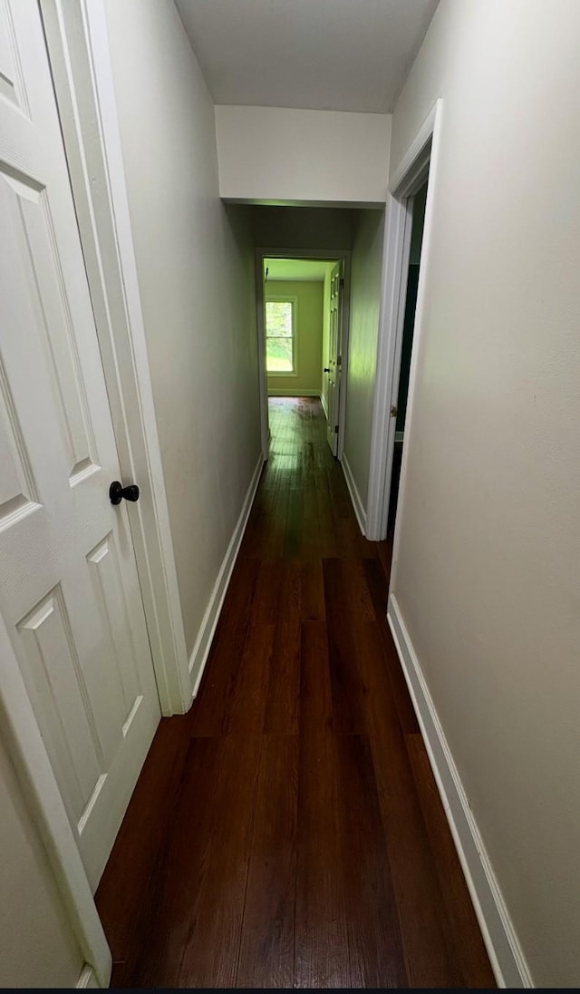 140 Carver Hollow Rd, Pleasant Shade, TN 37145 - photo 24