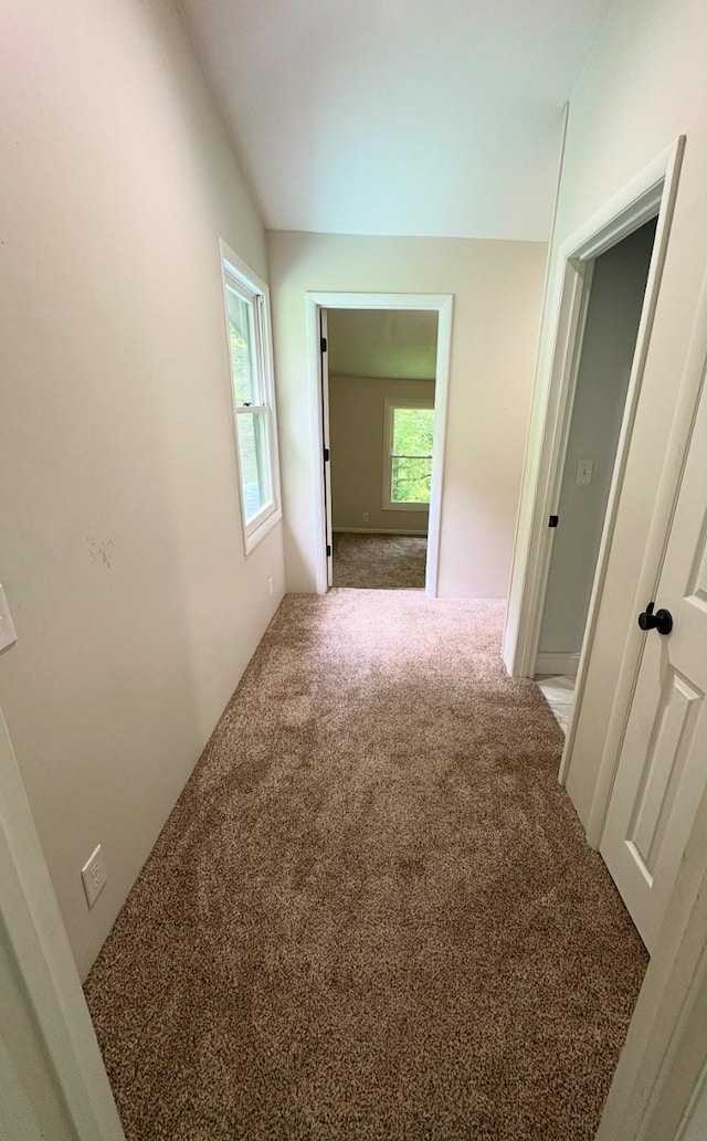 140 Carver Hollow Rd, Pleasant Shade, TN 37145 - photo 39