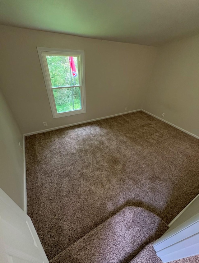 140 Carver Hollow Rd, Pleasant Shade, TN 37145 - photo 38