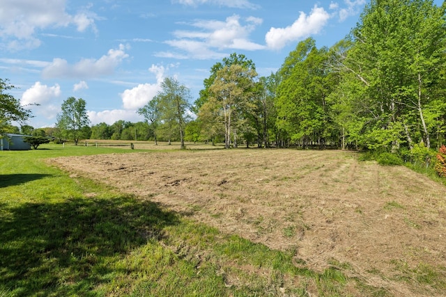 3410 W Stroudville Rd, Cedar Hill, TN 37032 - photo 10