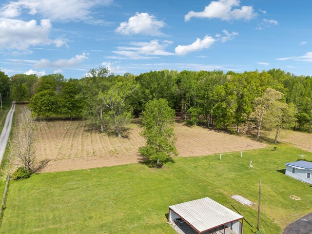 3410 W Stroudville Rd, Cedar Hill, TN 37032 - photo 8