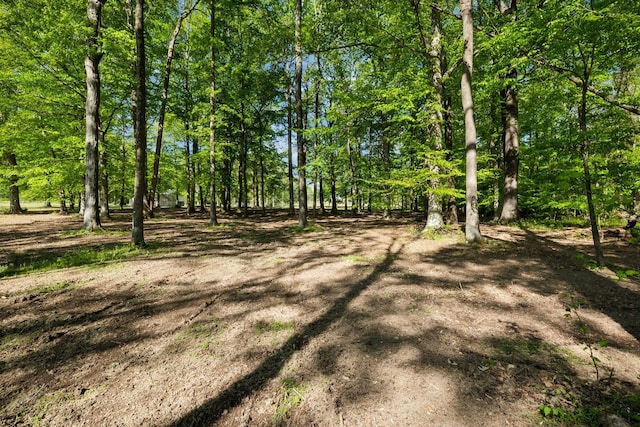 3410 W Stroudville Rd, Cedar Hill, TN 37032 - photo 11