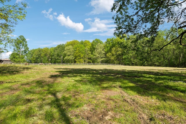 3410 W Stroudville Rd, Cedar Hill, TN 37032 - photo 1