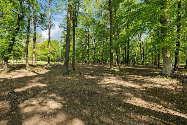 3410 W Stroudville Rd, Cedar Hill, TN 37032 - photo 12