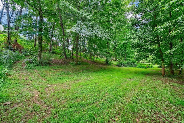 3407 N Henderson Way, Clarksville, TN 37042 - photo 33