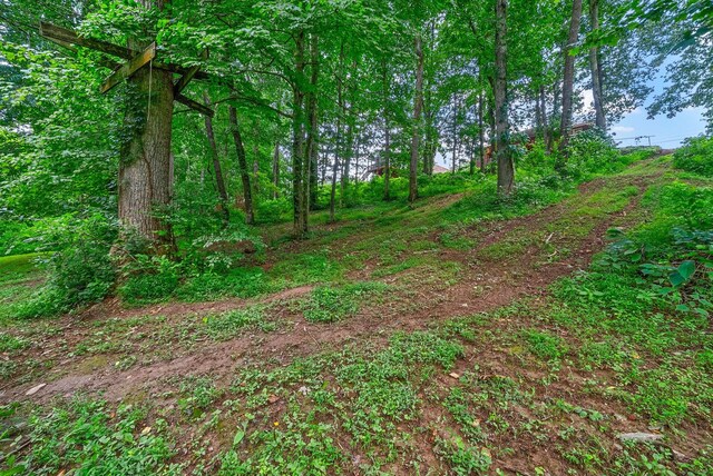 3407 N Henderson Way, Clarksville, TN 37042 - photo 32