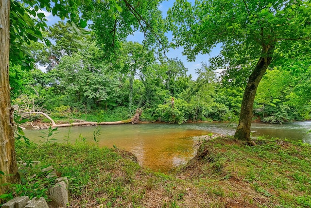 3407 N Henderson Way, Clarksville, TN 37042 - photo 34
