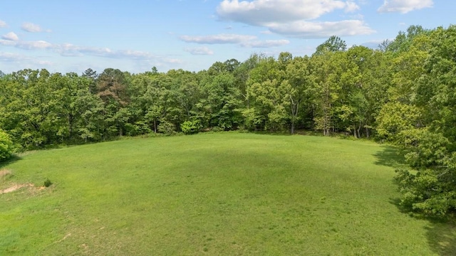 531 Wilson Hollow Rd, Dickson, TN 37055 - photo 34