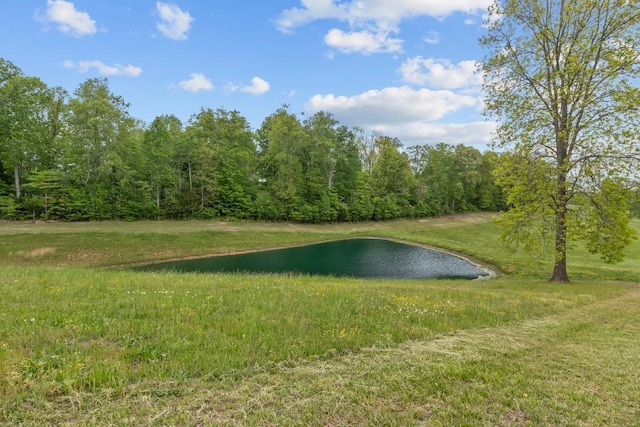 531 Wilson Hollow Rd, Dickson, TN 37055 - photo 27