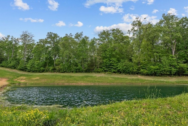 531 Wilson Hollow Rd, Dickson, TN 37055 - photo 32