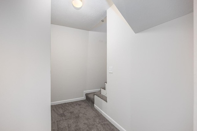 505 Stacy Square Ter Unit 505, Nashville, TN 37221 - photo 22