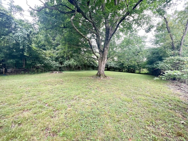 246 Clearview Dr, Clarksville, TN 37043 - photo 12