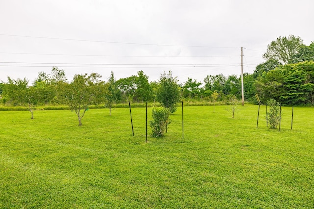 2651 Heights Circle Dr, Greenbrier, TN 37073 - photo 38