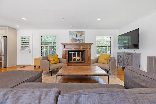 5033 Ragland Dr, Nashville, TN 37220 - living area featuring a glass covered fireplace, crown molding, healthy amount of natural light, light wood finished floors, and recessed lighting