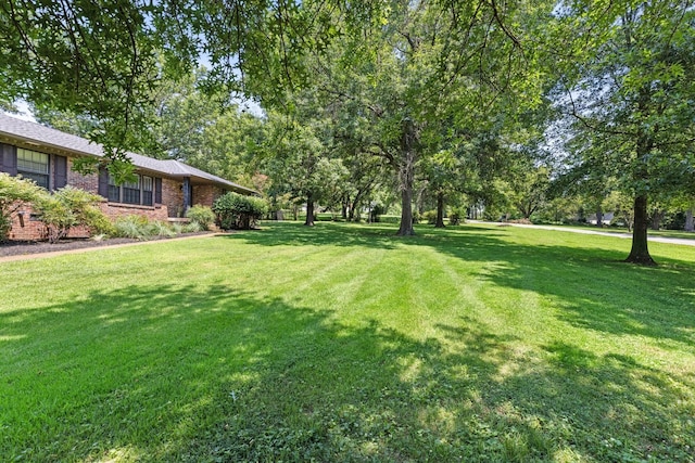5033 Ragland Dr, Nashville, TN 37220 - view of green lawn