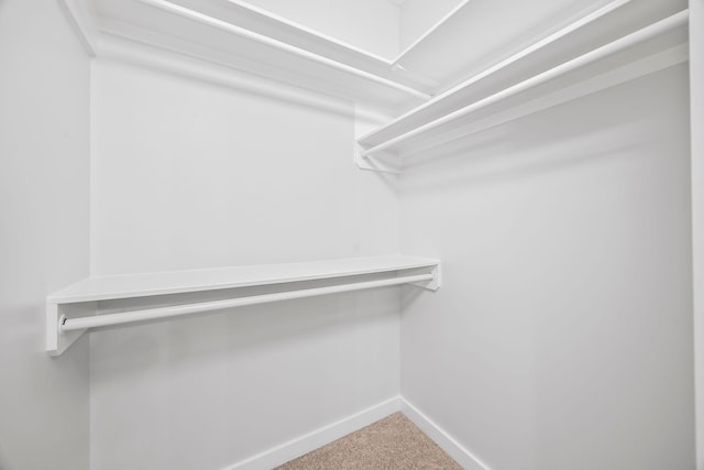 198 Creekside Dr, Lewisburg, TN 37091 - spacious closet featuring carpet floors