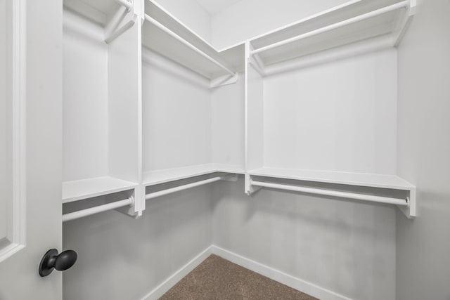 198 Creekside Dr, Lewisburg, TN 37091 - spacious closet featuring carpet floors