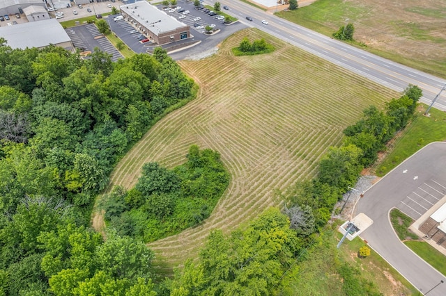 2630 Madison St, Clarksville, TN 37043 - photo 6