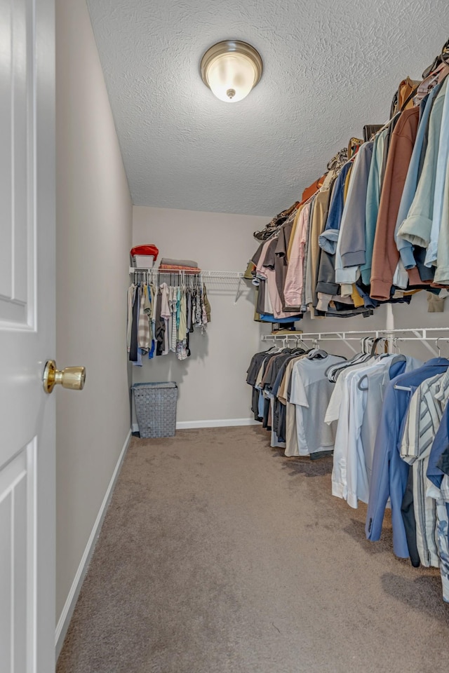 6161 Old Forest Rd, Antioch, TN 37013 - photo 30