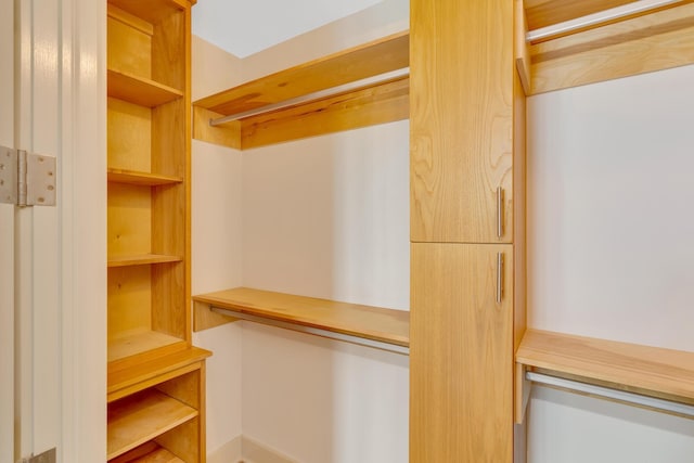 417 Frazier Ave Unit 404, Chattanooga, TN 37405 - view of spacious closet