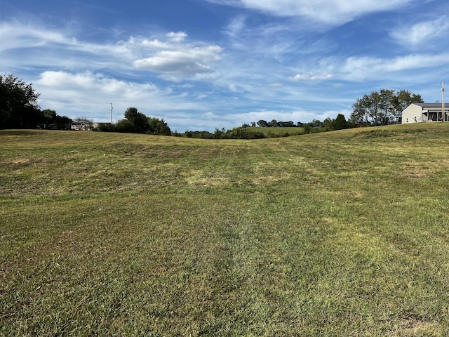 3026 Lynnville Hwy, Lynnville, TN 38472 - photo 7