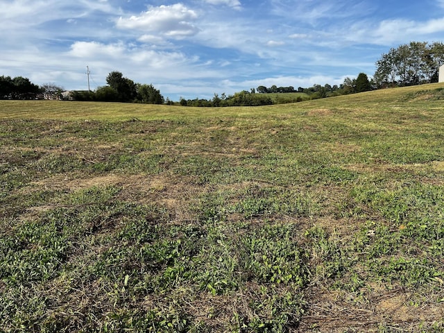 3026 Lynnville Hwy, Lynnville, TN 38472 - photo 1