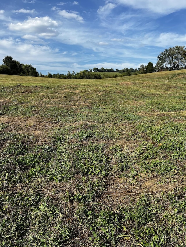 3026 Lynnville Hwy, Lynnville, TN 38472 - photo 6