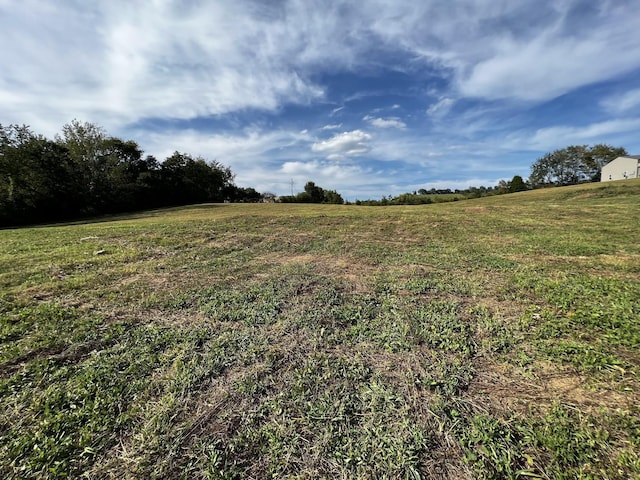 3026 Lynnville Hwy, Lynnville, TN 38472 - photo 5