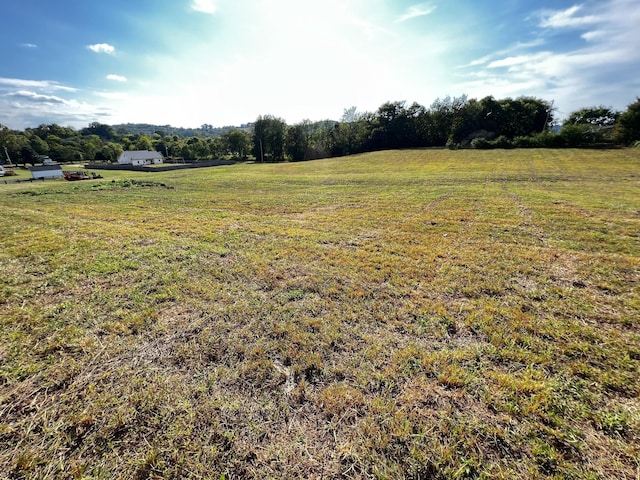 3026 Lynnville Hwy, Lynnville, TN 38472 - photo 3