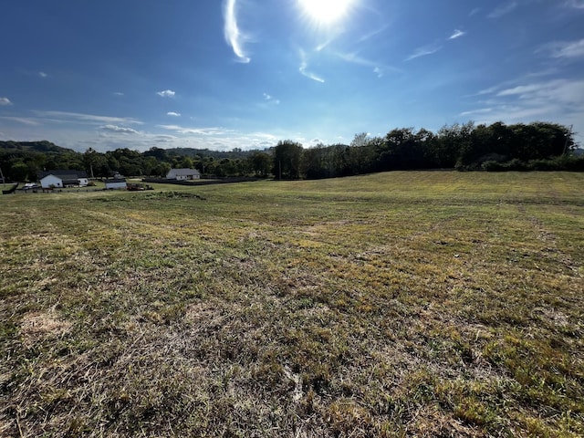 3026 Lynnville Hwy, Lynnville, TN 38472 - photo 8