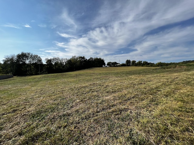 3026 Lynnville Hwy, Lynnville, TN 38472 - photo 2
