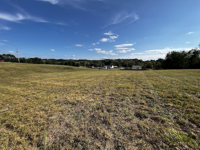 3026 Lynnville Hwy, Lynnville, TN 38472 - photo 4