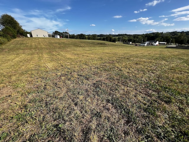 3026 Lynnville Hwy, Lynnville, TN 38472 - photo 10