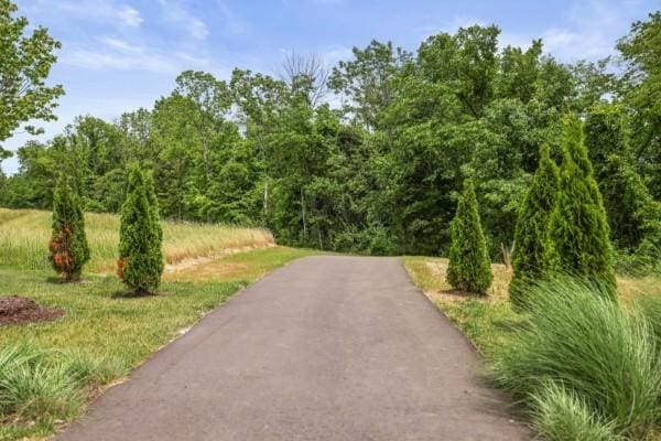 167 Willow Bend Dr, Mount Juliet, TN 37122 - photo 41