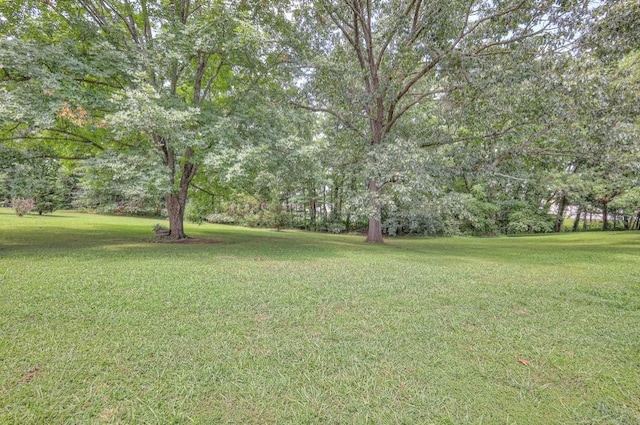 207 Shapard Dr, Shelbyville, TN 37160 - photo 25