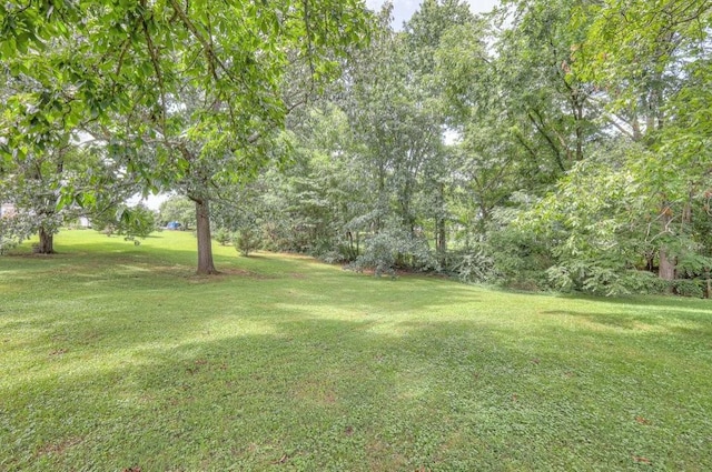 207 Shapard Dr, Shelbyville, TN 37160 - photo 26