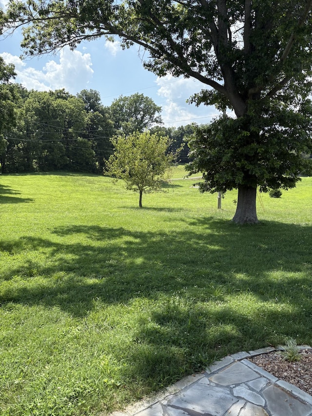 3545 Jim Gower Rd, Springfield, TN 37172 - photo 13