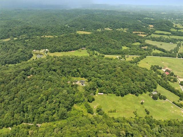 5222 Still House Hollow Rd, Franklin, TN 37064 - photo 86
