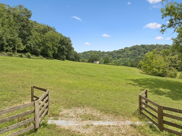 5222 Still House Hollow Rd, Franklin, TN 37064 - photo 79