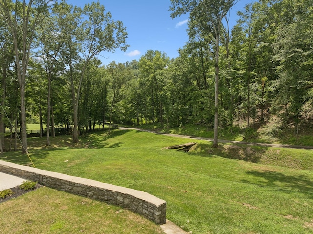 5222 Still House Hollow Rd, Franklin, TN 37064 - photo 77
