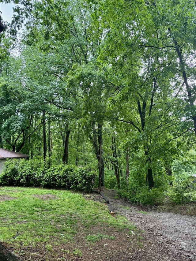 514 Longview Dr, Pegram, TN 37143 - photo 56