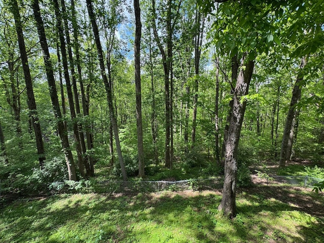514 Longview Dr, Pegram, TN 37143 - photo 45