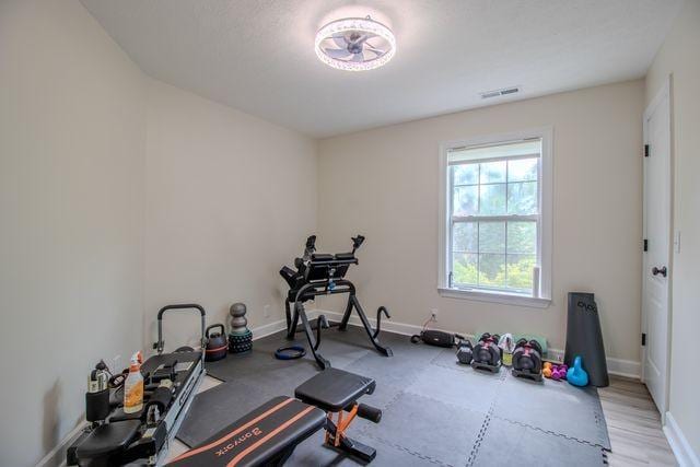 217 Patana Dr, White House, TN 37188 - photo 28