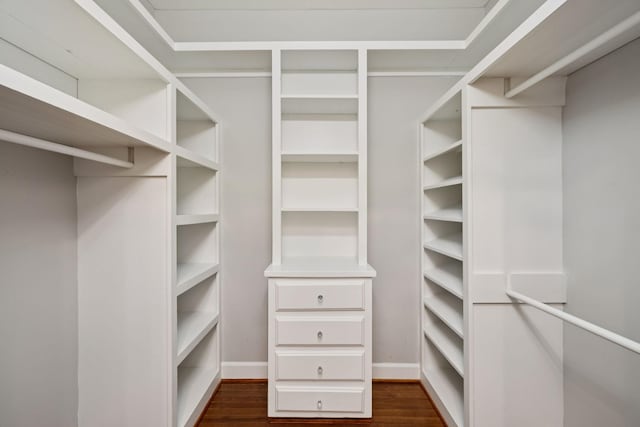 103 Wellesley Pl, Columbia, TN 38401 - spacious closet featuring dark wood-type flooring