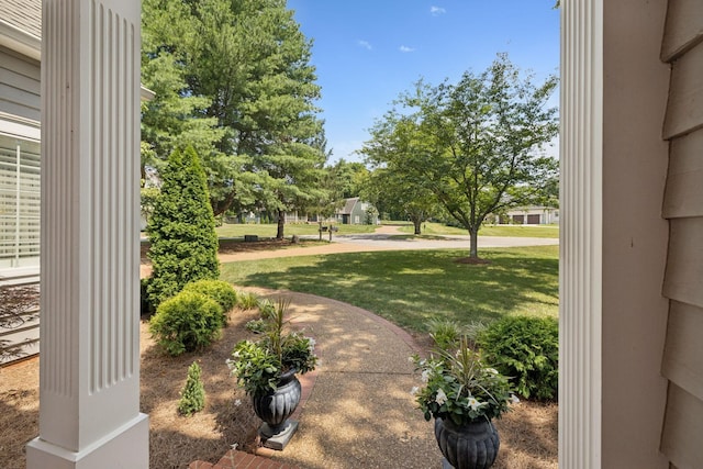 103 Wellesley Pl, Columbia, TN 38401 - view of green lawn